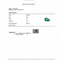 0.98 Ct. Emerald from Colombia - Muzo Pdf